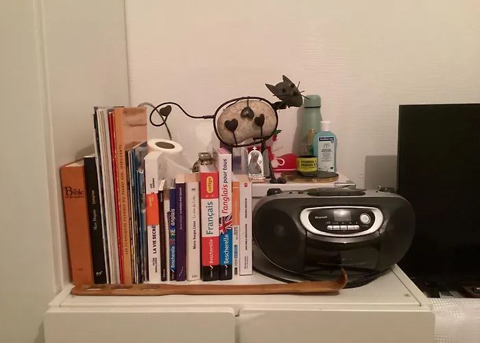 Chambre chez le habitant 282 rue Lecourbe 75015 Paris